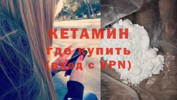 сатива Вязьма