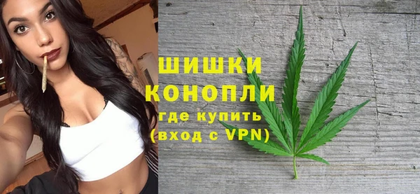 сатива Вязьма