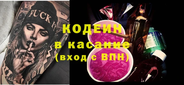 эйфоретик Вяземский