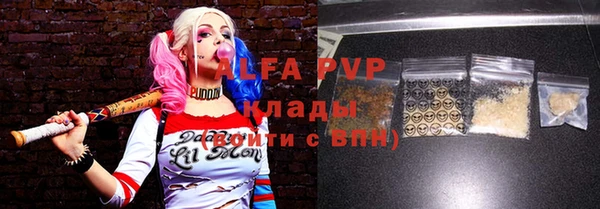 эйфоретик Вяземский