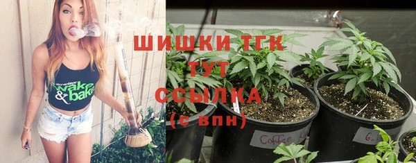 соль курить ск Ельня