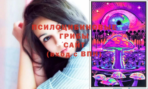 сатива Вязьма