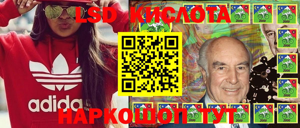 Псилоцибиновые грибы Вязники