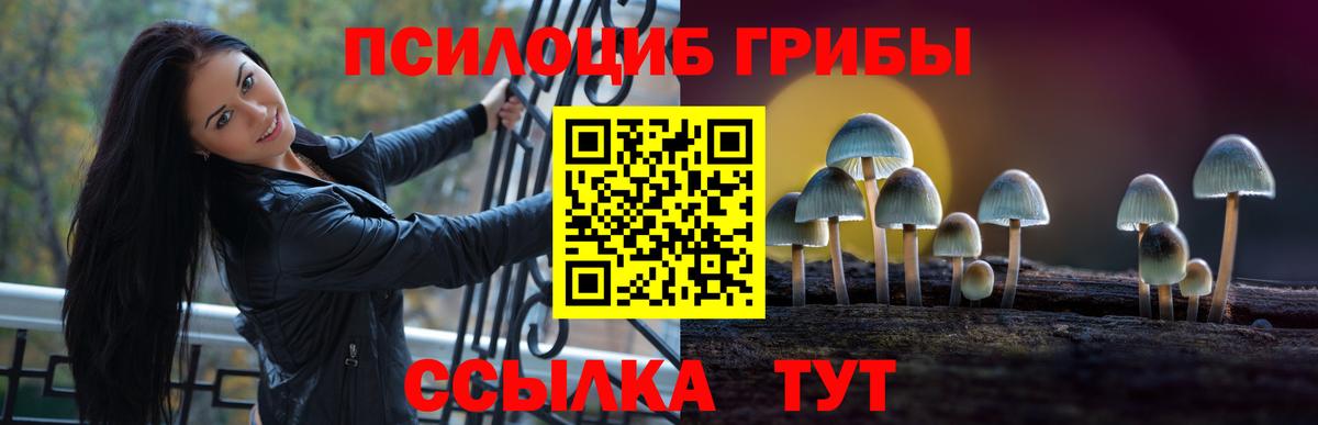 Галлюциногенные грибы ЛСД Вязники