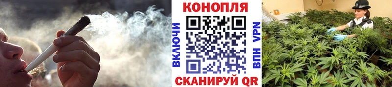 где купить наркоту  Вязники  Конопля Bruce Banner 